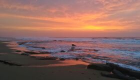 Immerse in Vietnam’s natural heritage with visa-smart planning